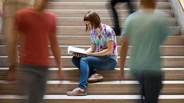 Un test visual muy sencillo mide la inteligencia